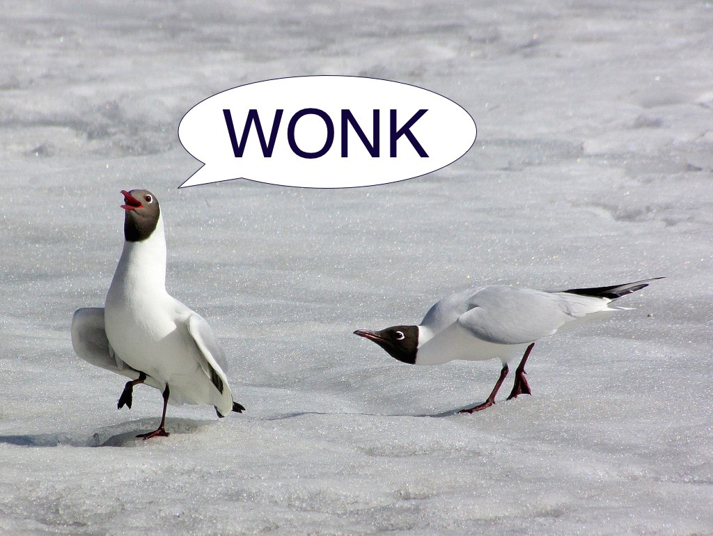 WONK